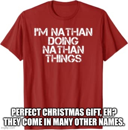 christmas gift idea | PERFECT CHRISTMAS GIFT, EH? THEY COME IN MANY OTHER NAMES. | image tagged in memes,shirt,christmas gifts | made w/ Imgflip meme maker