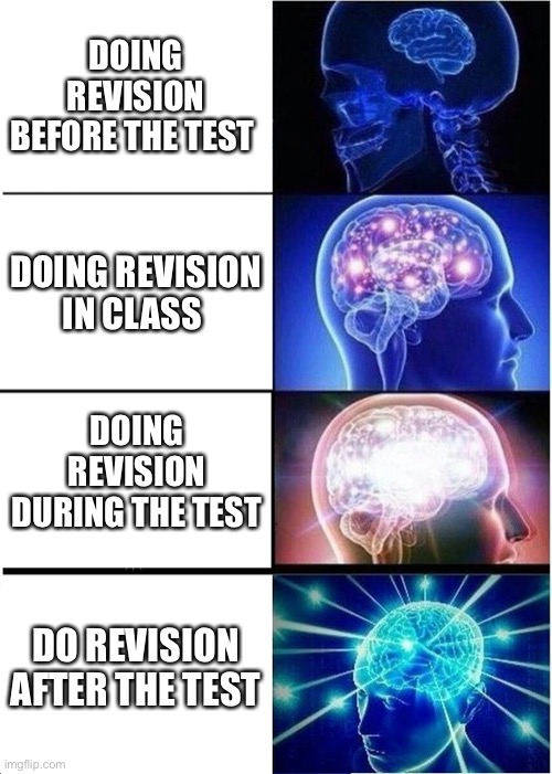 Expanding Brain | DOING REVISION BEFORE THE TEST; DOING REVISION IN CLASS; DOING REVISION DURING THE TEST; DO REVISION AFTER THE TEST | image tagged in memes,expanding brain | made w/ Imgflip meme maker