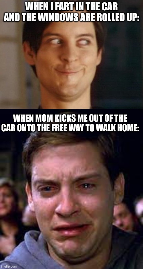 fart jokes |  WHEN I FART IN THE CAR AND THE WINDOWS ARE ROLLED UP:; WHEN MOM KICKS ME OUT OF THE CAR ONTO THE FREE WAY TO WALK HOME: | image tagged in memes,spiderman peter parker,farts,car,peter parker cry | made w/ Imgflip meme maker