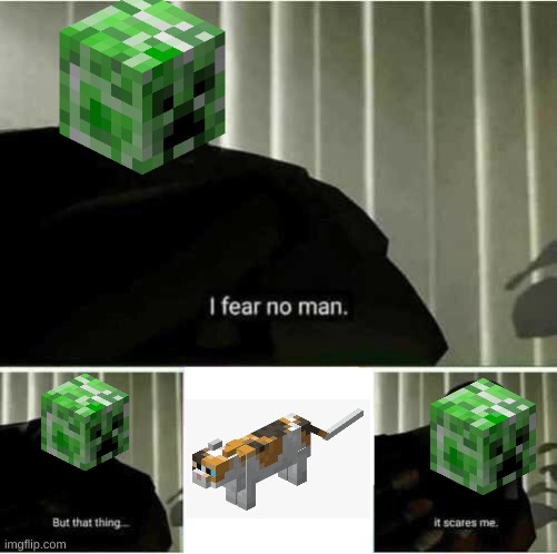 I fear no man | image tagged in i fear no man | made w/ Imgflip meme maker