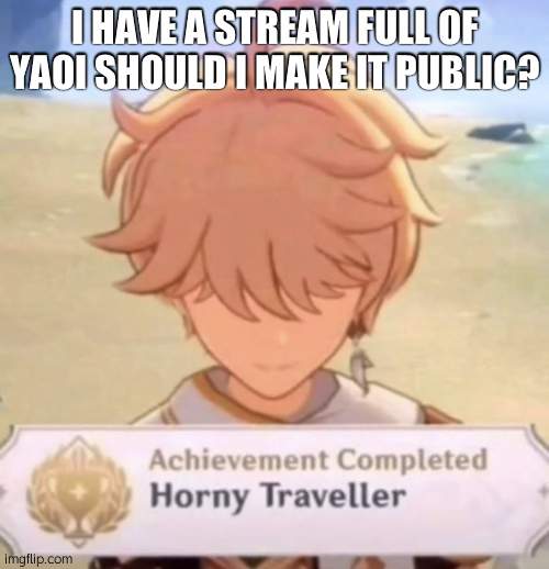 unlocked horny traveller | I HAVE A STREAM FULL OF YAOI SHOULD I MAKE IT PUBLIC? | image tagged in unlocked horny traveller | made w/ Imgflip meme maker