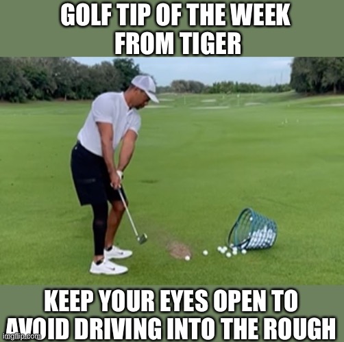 Tip of the week | GOLF TIP OF THE WEEK 
FROM TIGER; KEEP YOUR EYES OPEN TO AVOID DRIVING INTO THE ROUGH | image tagged in tiger woods,driving,into the rough | made w/ Imgflip meme maker
