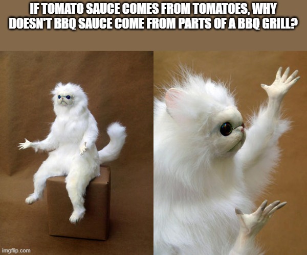 bbq sauce |  IF TOMATO SAUCE COMES FROM TOMATOES, WHY DOESN'T BBQ SAUCE COME FROM PARTS OF A BBQ GRILL? | image tagged in memes,persian cat room guardian,shower thoughts,bbq sauce | made w/ Imgflip meme maker