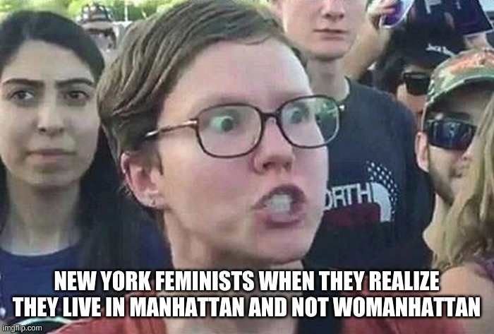 Triggered Liberal | NEW YORK FEMINISTS WHEN THEY REALIZE THEY LIVE IN MANHATTAN AND NOT WOMANHATTAN | image tagged in triggered liberal | made w/ Imgflip meme maker