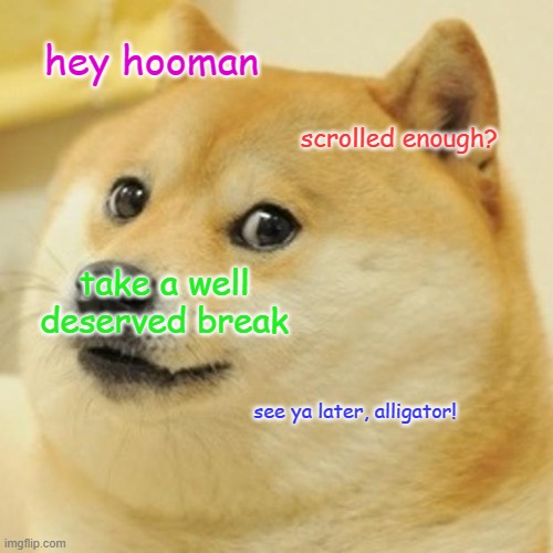 go outside an play nerf or something |  hey hooman; scrolled enough? take a well deserved break; see ya later, alligator! | image tagged in memes,doge,funny,scroll,hooman | made w/ Imgflip meme maker