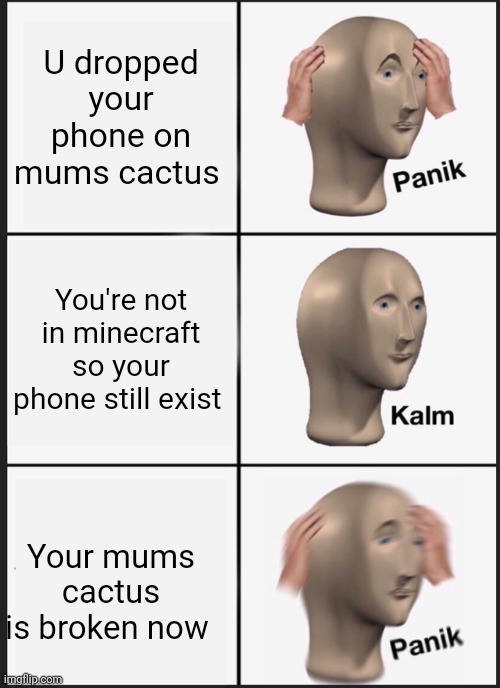 Panik Kalm Panik | U dropped your phone on mums cactus; You're not in minecraft so your phone still exist; Your mums cactus is broken now | image tagged in memes,panik kalm panik | made w/ Imgflip meme maker