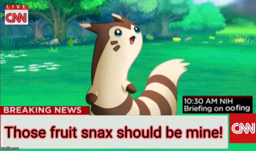 Breaking News Furret | Those fruit snax should be mine! | image tagged in breaking news furret | made w/ Imgflip meme maker