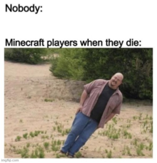 lol | image tagged in minecraft,gaming,repost | made w/ Imgflip meme maker