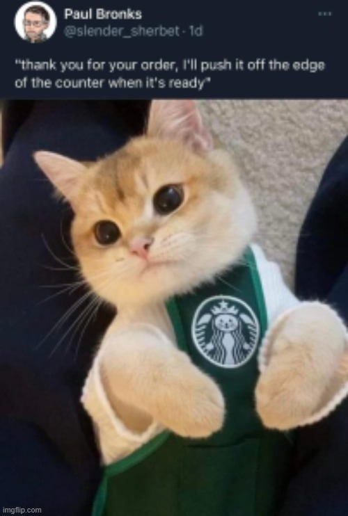 Kitty! | image tagged in cats,uwu | made w/ Imgflip meme maker