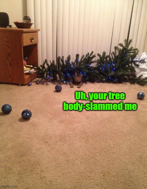 That's Gotta Hurt! | Uh, your tree body-slammed me | image tagged in meme,memes,cat,cats,christmas | made w/ Imgflip meme maker