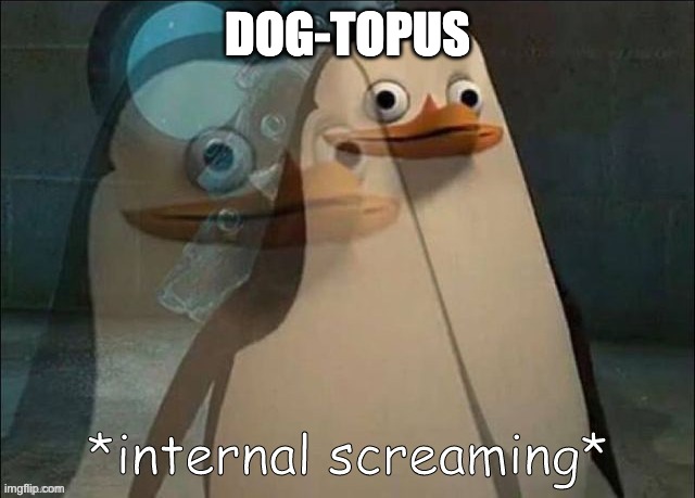 Private Internal Screaming | DOG-TOPUS | image tagged in private internal screaming | made w/ Imgflip meme maker