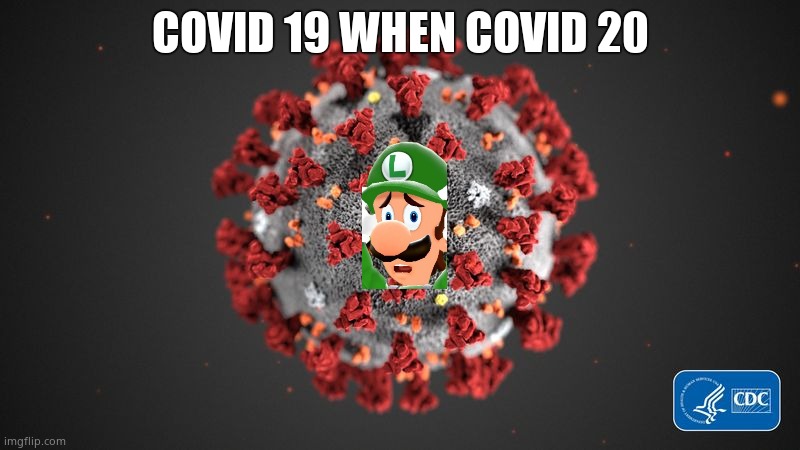 Covid 19 | COVID 19 WHEN COVID 20 | image tagged in covid 19 | made w/ Imgflip meme maker