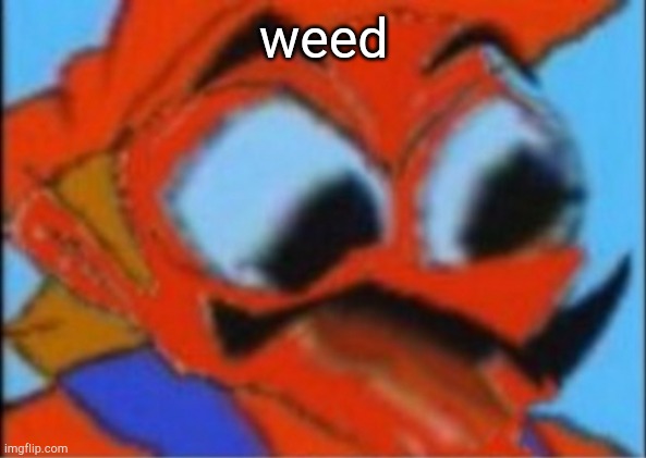 weed | weed | image tagged in weed | made w/ Imgflip meme maker