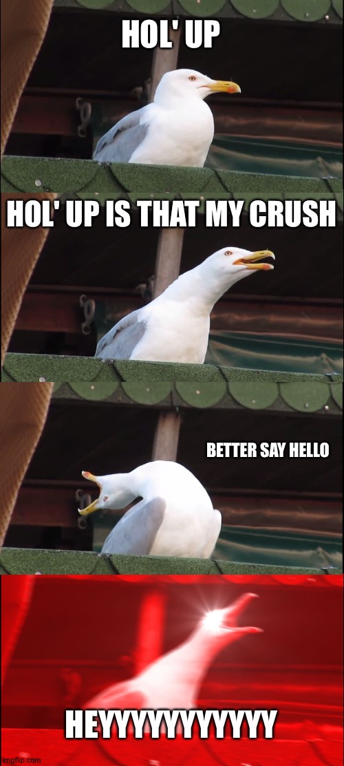 Seagull | HOL' UP; HOL' UP IS THAT MY CRUSH; BETTER SAY HELLO; HEYYYYYYYYYYY | image tagged in memes,inhaling seagull | made w/ Imgflip meme maker