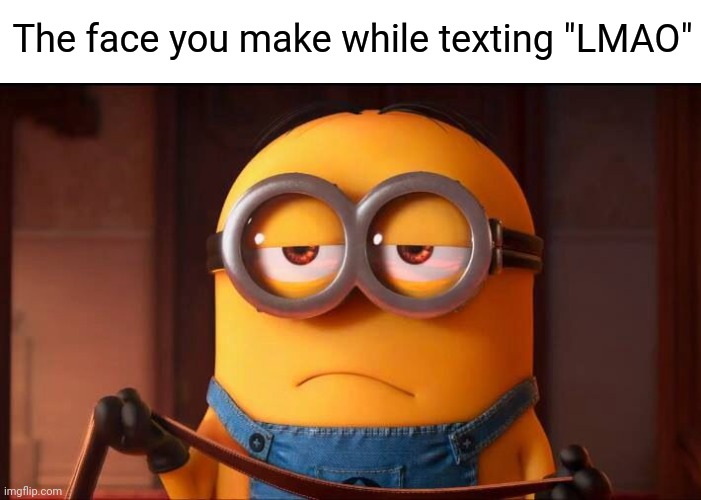 You got the Minion laughing | The face you make while texting "LMAO" | image tagged in minion face,minions,despicable me,straight face,lmao,serious face | made w/ Imgflip meme maker