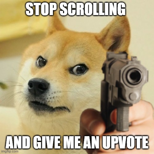 Doge holding a gun | STOP SCROLLING; AND GIVE ME AN UPVOTE | image tagged in doge holding a gun | made w/ Imgflip meme maker