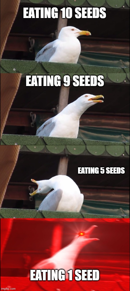 Inhaling Seagull | EATING 10 SEEDS; EATING 9 SEEDS; EATING 5 SEEDS; EATING 1 SEED | image tagged in memes,inhaling seagull | made w/ Imgflip meme maker