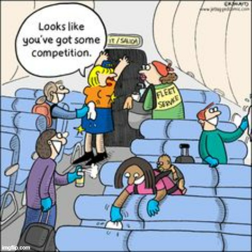 Pandemic Thinking-Airline Style | image tagged in memes,comics,pandemic,airplane,passenger,cleaning | made w/ Imgflip meme maker