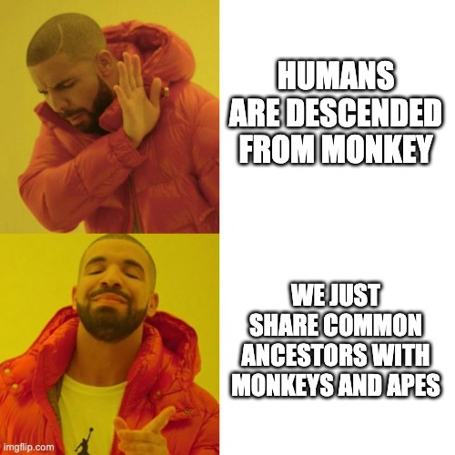 Drake Blank | HUMANS ARE DESCENDED FROM MONKEY; WE JUST SHARE COMMON ANCESTORS WITH MONKEYS AND APES | image tagged in drake blank | made w/ Imgflip meme maker