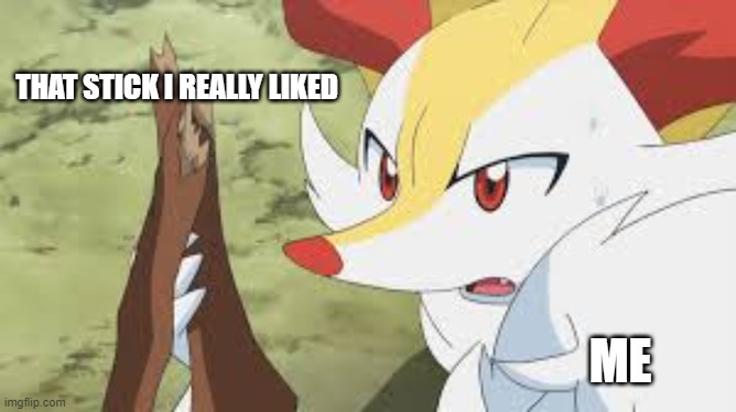 relatable? | THAT STICK I REALLY LIKED; ME | image tagged in shocked braixen | made w/ Imgflip meme maker