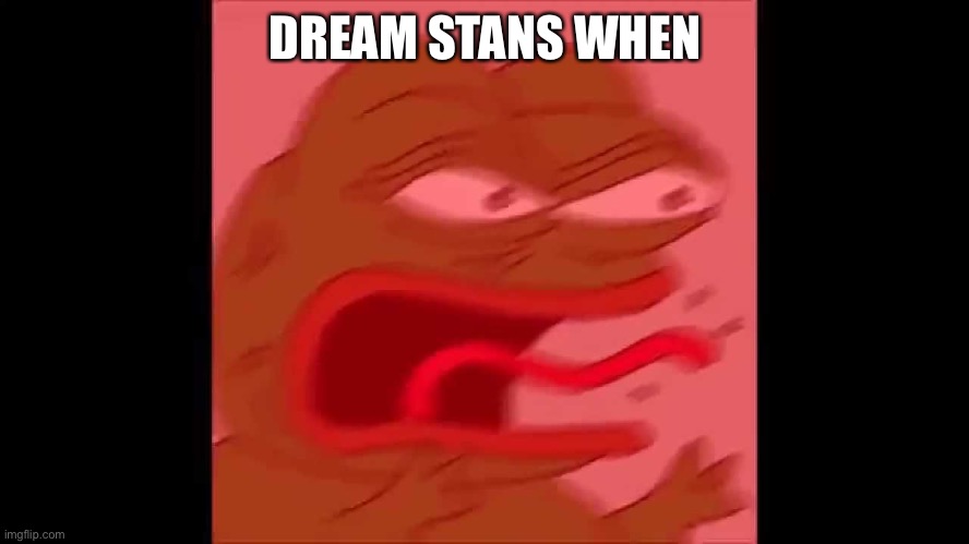 screaming pepe | DREAM STANS WHEN | image tagged in screaming pepe | made w/ Imgflip meme maker