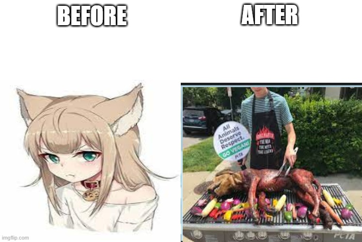 do not dress like a freaking dog! | AFTER; BEFORE | image tagged in chinese food,anime is not cartoon | made w/ Imgflip meme maker