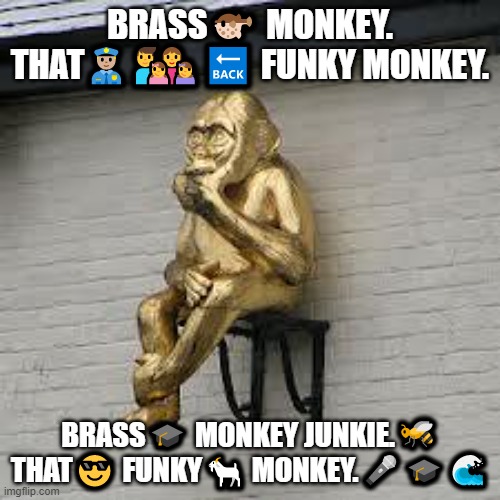 Have you ever heard of the song "Brass Monkey"? | BRASS🐡 MONKEY. THAT👮🏼👨‍👩‍👧‍👧🔙 FUNKY MONKEY. BRASS🎓 MONKEY JUNKIE.🐝 THAT😎 FUNKY🐐 MONKEY.🎤🎓🌊 | image tagged in brr brass monkey | made w/ Imgflip meme maker