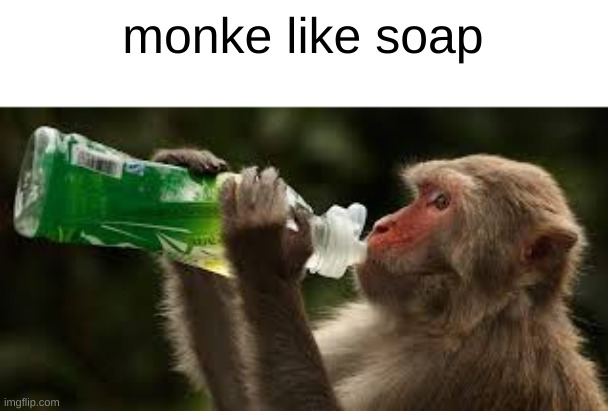 monke like soap | image tagged in monke | made w/ Imgflip meme maker