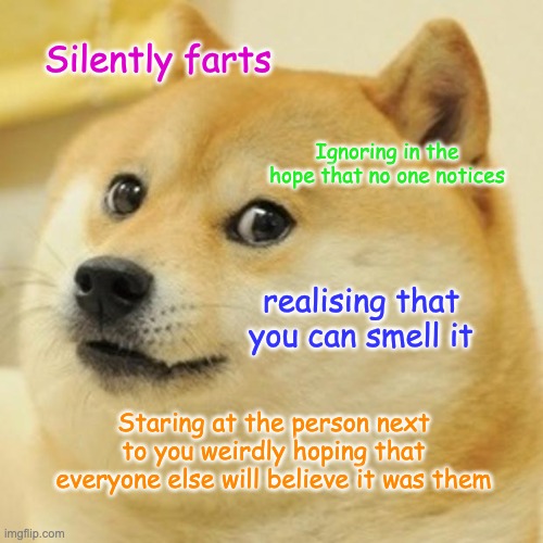 Guilty Dog | Silently farts; Ignoring in the hope that no one notices; realising that you can smell it; Staring at the person next to you weirdly hoping that everyone else will believe it was them | image tagged in memes,doge | made w/ Imgflip meme maker