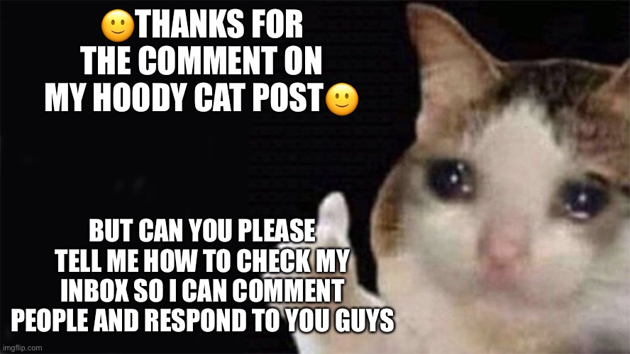 Thumbs up crying cat | 🙂THANKS FOR THE COMMENT ON MY HOODY CAT POST🙂; BUT CAN YOU PLEASE TELL ME HOW TO CHECK MY INBOX SO I CAN COMMENT PEOPLE AND RESPOND TO YOU GUYS | image tagged in thumbs up crying cat | made w/ Imgflip meme maker