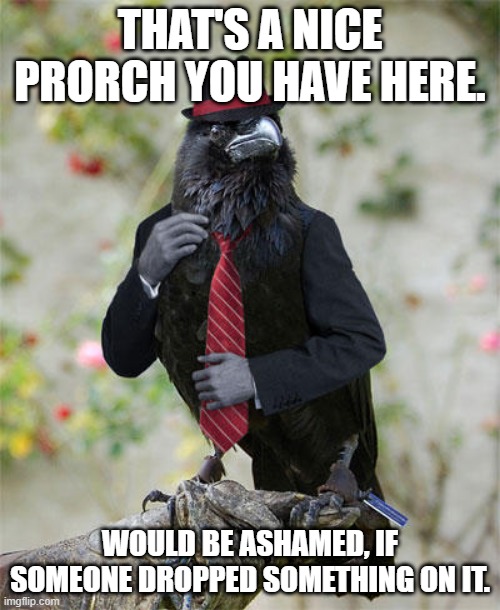Feed your birds this winter or else... | THAT'S A NICE PRORCH YOU HAVE HERE. WOULD BE ASHAMED, IF SOMEONE DROPPED SOMETHING ON IT. | image tagged in bird mafia,porch,blackmail,bird,mafia | made w/ Imgflip meme maker