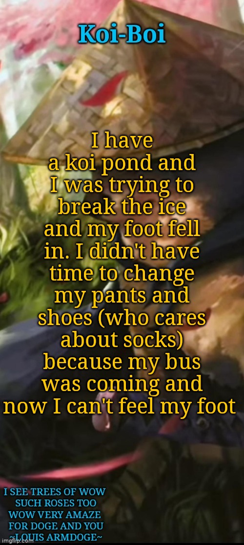 Koi-Boi samurai doge temp | I have a koi pond and I was trying to break the ice and my foot fell in. I didn't have time to change my pants and shoes (who cares about socks) because my bus was coming and now I can't feel my foot | image tagged in koi-boi samurai doge temp | made w/ Imgflip meme maker