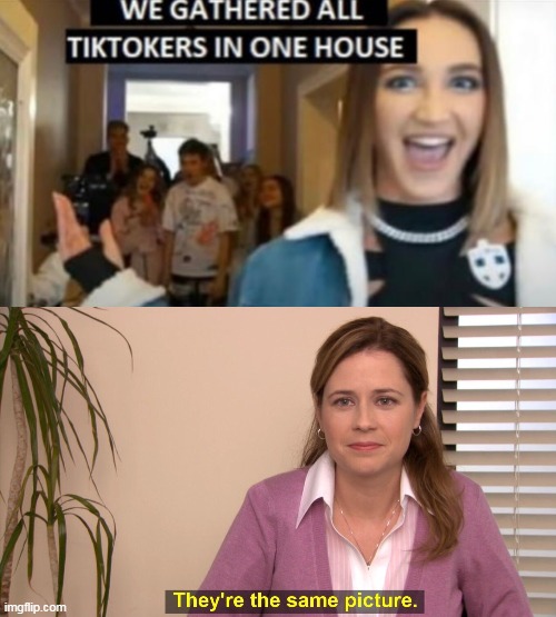 Memes are only your person | image tagged in we gathered all tiktokers in one house,memes,they're the same picture | made w/ Imgflip meme maker