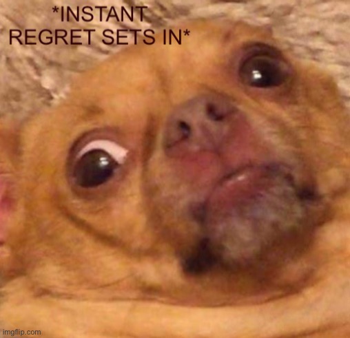 Instant regret sets in | image tagged in instant regret sets in | made w/ Imgflip meme maker