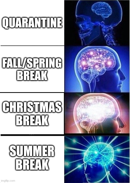 How off school is | QUARANTINE; FALL/SPRING BREAK; CHRISTMAS BREAK; SUMMER BREAK | image tagged in memes,expanding brain | made w/ Imgflip meme maker