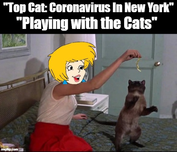 "Playing with the Cats"; "Top Cat: Coronavirus In New York" | made w/ Imgflip meme maker