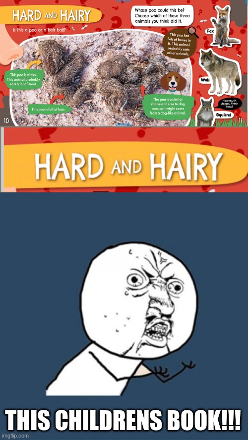 Y U NO | THIS CHILDRENS BOOK!!! | image tagged in memes,y u no | made w/ Imgflip meme maker