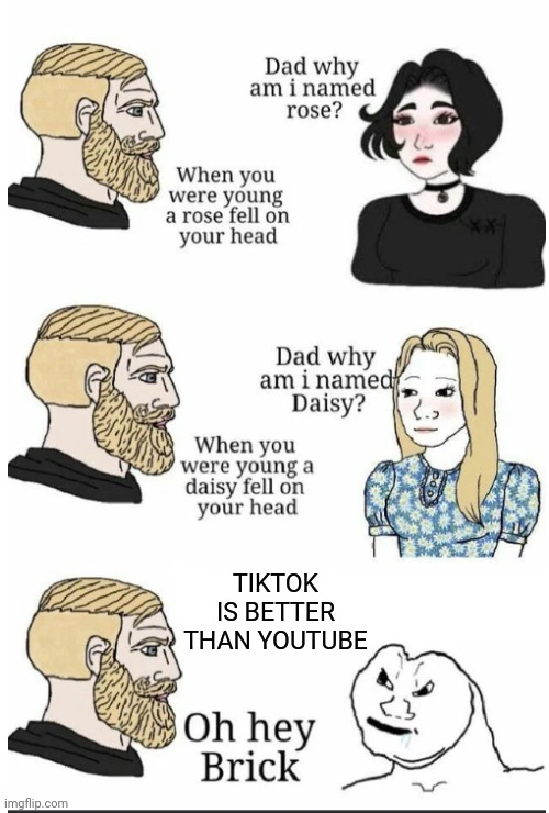 oh hey brick | TIKTOK IS BETTER THAN YOUTUBE | image tagged in oh hey brick | made w/ Imgflip meme maker
