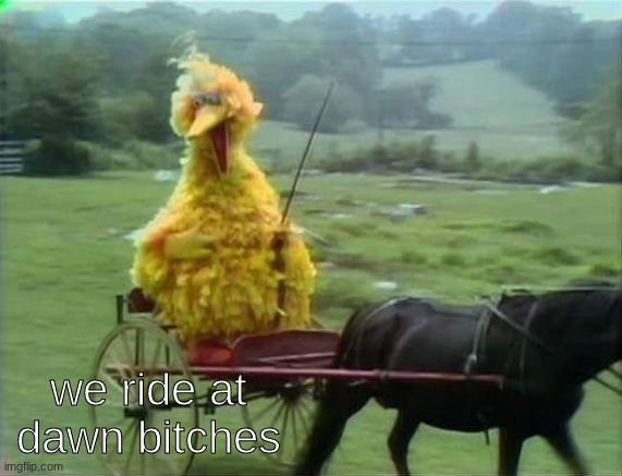 It's Taco Tuesday. We ride at dawn bitches | we ride at dawn bitches | image tagged in it's taco tuesday we ride at dawn bitches | made w/ Imgflip meme maker