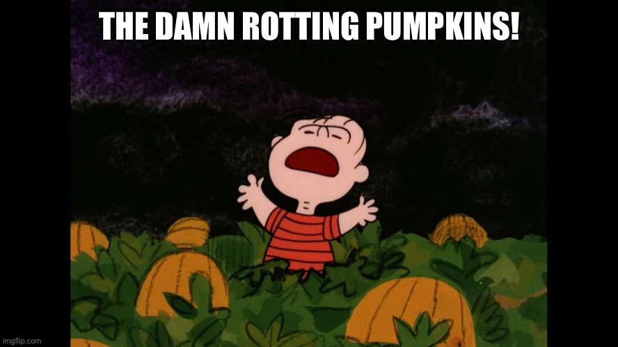 Great Pumpkin | THE DAMN ROTTING PUMPKINS! | image tagged in great pumpkin | made w/ Imgflip meme maker