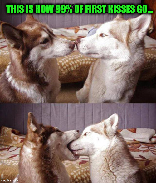 THIS IS HOW 99% OF FIRST KISSES GO... | image tagged in kissing,first time | made w/ Imgflip meme maker