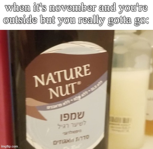 november | when it's november and you're outside but you really gotta go: | image tagged in nut,shampoo,november,no nut november,memes | made w/ Imgflip meme maker