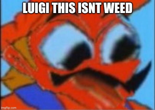 E | LUIGI THIS ISNT WEED | image tagged in e | made w/ Imgflip meme maker