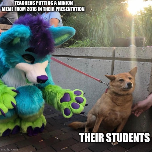 Lol |  TEACHERS PUTTING A MINION MEME FROM 2016 IN THEIR PRESENTATION; THEIR STUDENTS | image tagged in dog afraid of furry | made w/ Imgflip meme maker