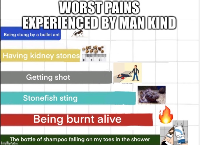 Worst pains experienced by human kind | image tagged in pain,hide the pain harold,ouch,lol,shampoo,shower | made w/ Imgflip meme maker