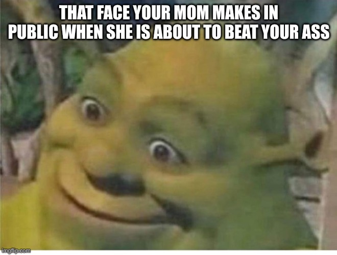 Sherk Face | THAT FACE YOUR MOM MAKES IN PUBLIC WHEN SHE IS ABOUT TO BEAT YOUR ASS | image tagged in sherk face | made w/ Imgflip meme maker
