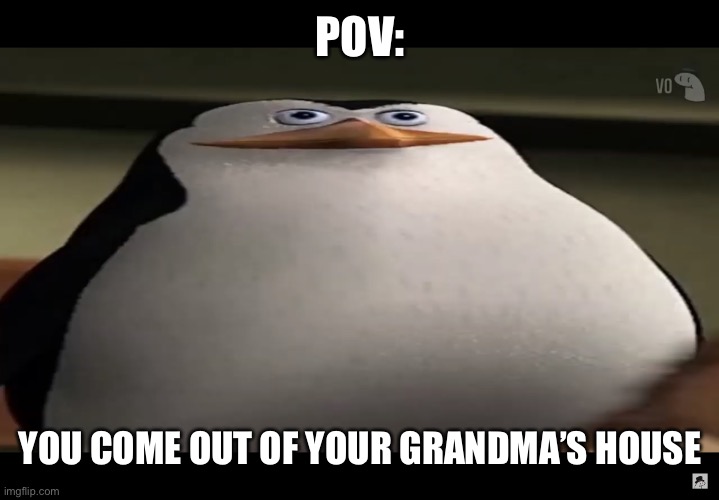 Pov: thick |  POV:; YOU COME OUT OF YOUR GRANDMA’S HOUSE | image tagged in thic skipper,thicc,grandma,pov | made w/ Imgflip meme maker