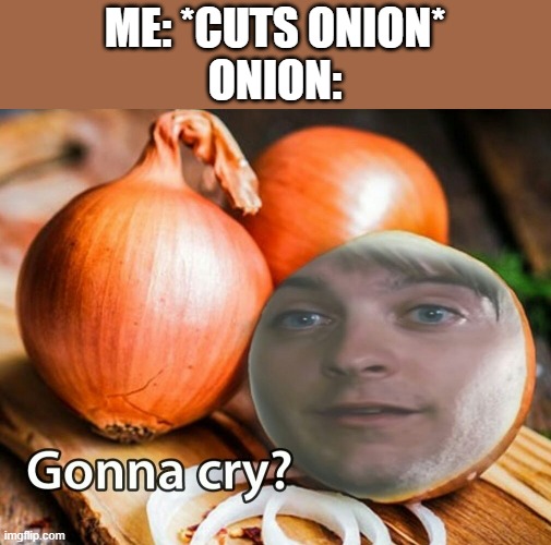 *sniff* No.... | ME: *CUTS ONION*
ONION: | image tagged in gonna cry onion | made w/ Imgflip meme maker
