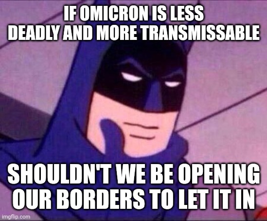 Less deadly | IF OMICRON IS LESS DEADLY AND MORE TRANSMISSABLE; SHOULDN'T WE BE OPENING OUR BORDERS TO LET IT IN | image tagged in batman thinking | made w/ Imgflip meme maker