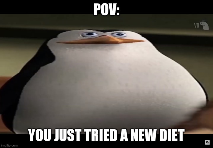 True | POV:; YOU JUST TRIED A NEW DIET | image tagged in thic skipper,thick | made w/ Imgflip meme maker